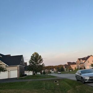 Meet your Posher, Vashti